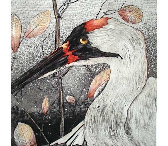 Beki Killorin "Flutter"